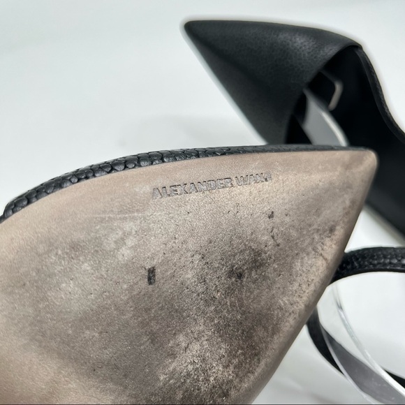 Alexander WANG Lovisa Sexy Black Pebbled Leather Ankle Buckle Pointed Toe Pumps - Picture 14 of 15